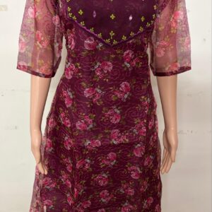 Anarkali | Premium organza net Embroidery kurti with a Soft Lining | Hand Work  Kurti